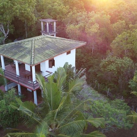 Salt Lake Cabanas & Restaurant تانجالي المظهر الخارجي الصورة