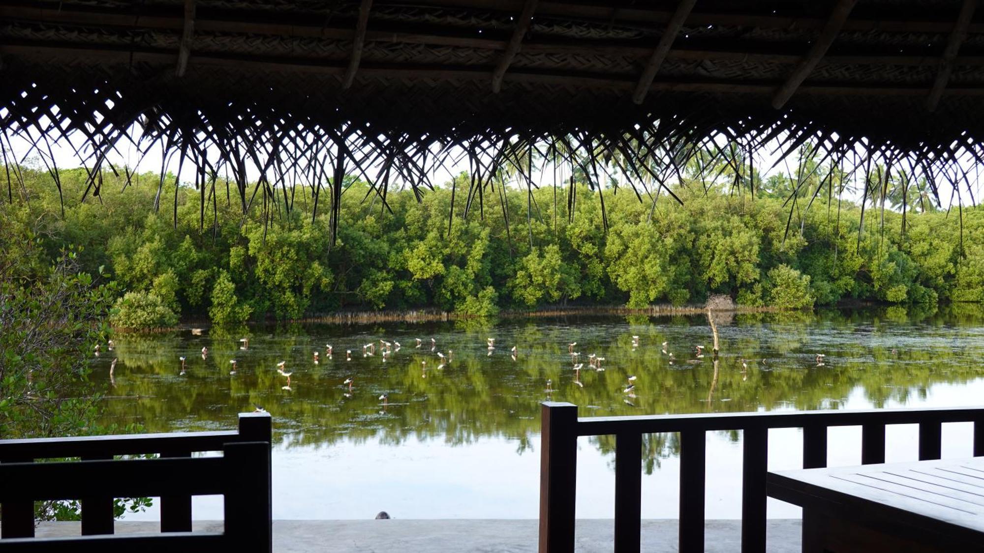 Salt Lake Cabanas & Restaurant تانجالي المظهر الخارجي الصورة