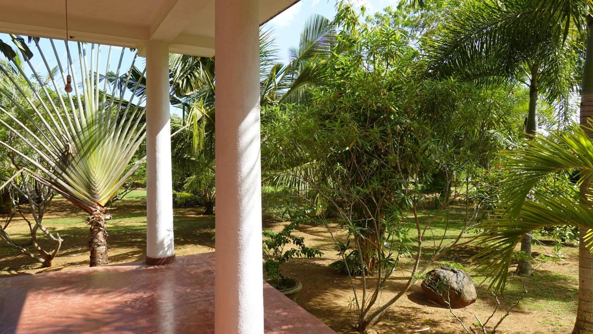 Salt Lake Cabanas & Restaurant تانجالي المظهر الخارجي الصورة